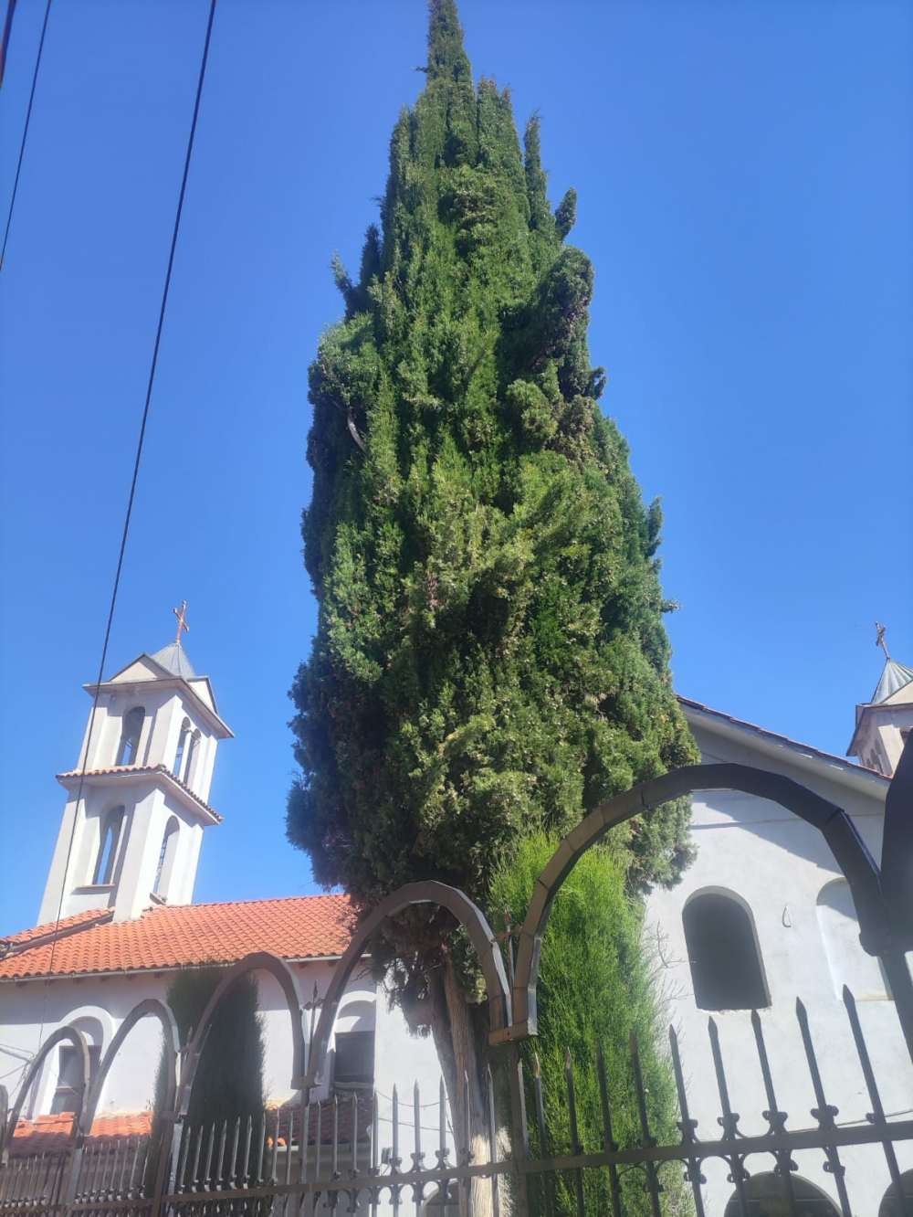Selvia e kishës “Fjetja e Shën Marisë”, Pogradec